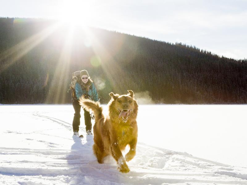 Decoding winter 2024 long range weather predictions ZenSeekers